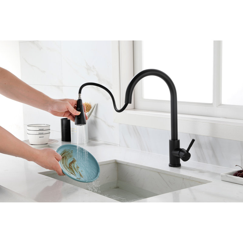 Le robinet de cuisine élégant en acier inoxydable noir mat avec douchette rétractable ajoute une touche luxueuse à votre décor, acier, de classe