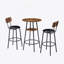 Ensemble de table de bar et de chaises rondes 3 pièces, petite table de salle à manger avec tablette de rangement à 2 niveaux et 2 tabourets de bar rembourrés