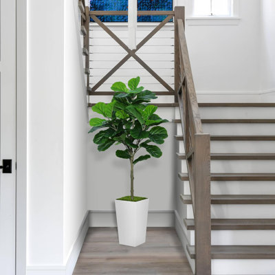 60'' Faux Fir Tree in Planter