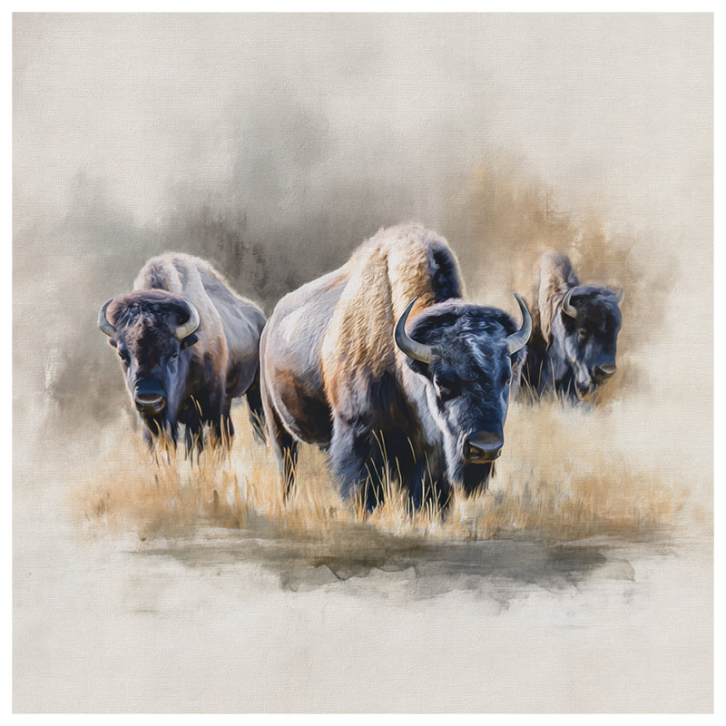 Bison In Grassland Bedding Bison couvre-lit animal, Lit simple