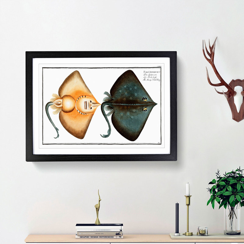 Sharp Nosed-Ray Fish by M.E. Bloch - Picture Frame Painting Print, Black Framed, 48cm H x 65cm W x 2cm D