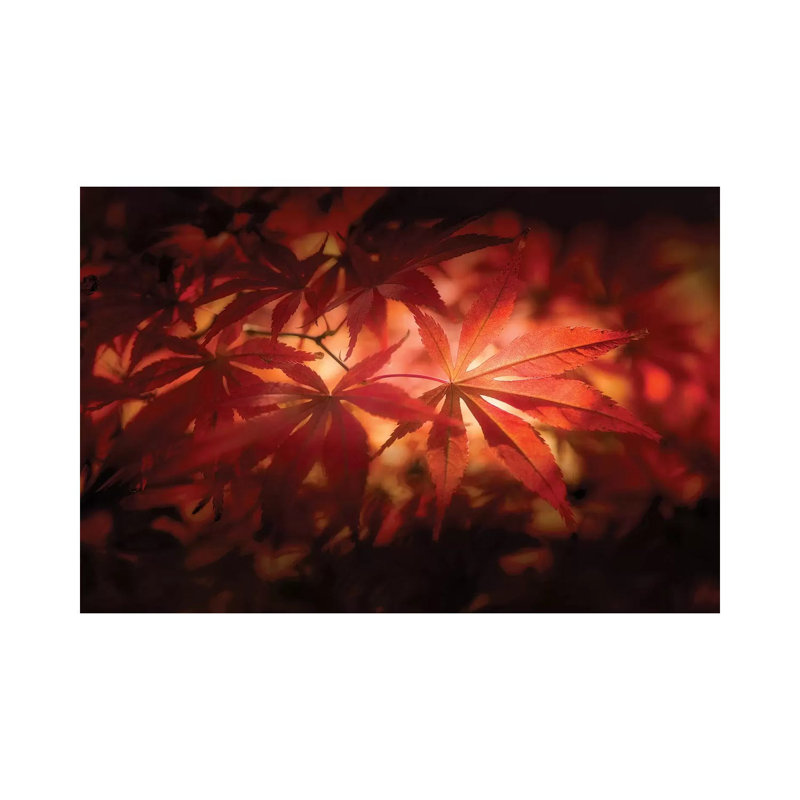 Red Light - Wrapped Canvas Print, 20.32 cm H x 30.48 cm W