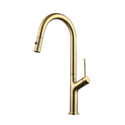 DAX Single Handle Pull Out Kitchen Faucet, Gold