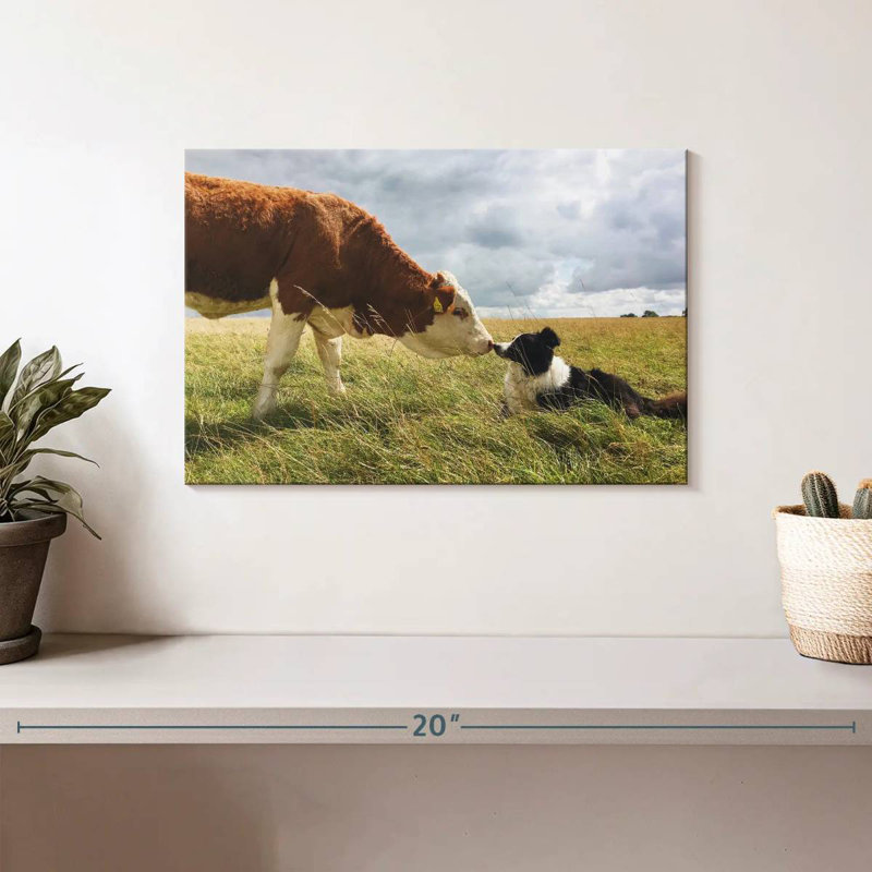 Brampt Border Collie And Cow, 8" H x 12" W