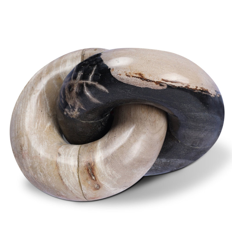 Petrified Wood Knot-Dark Petrified Wood