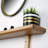 Bracket Shelf-566254896