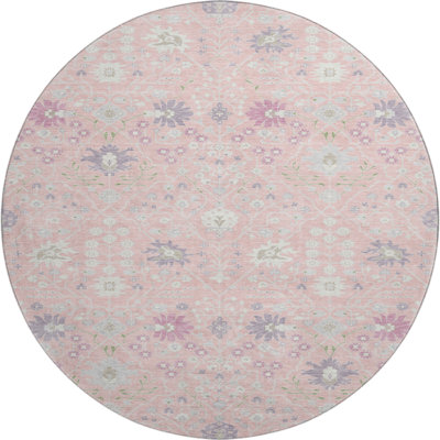 Premium Machine Washable Colmenero AMF1009 Oriental Rug