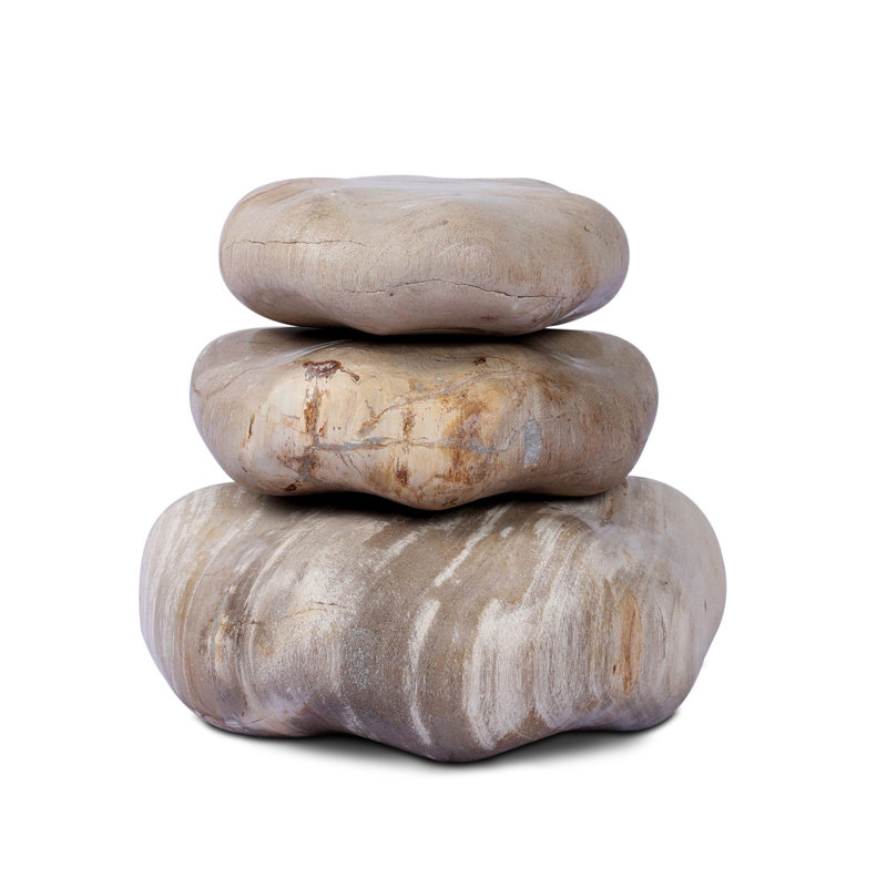 Petrified Wood Organic Sculpture, Light Brown