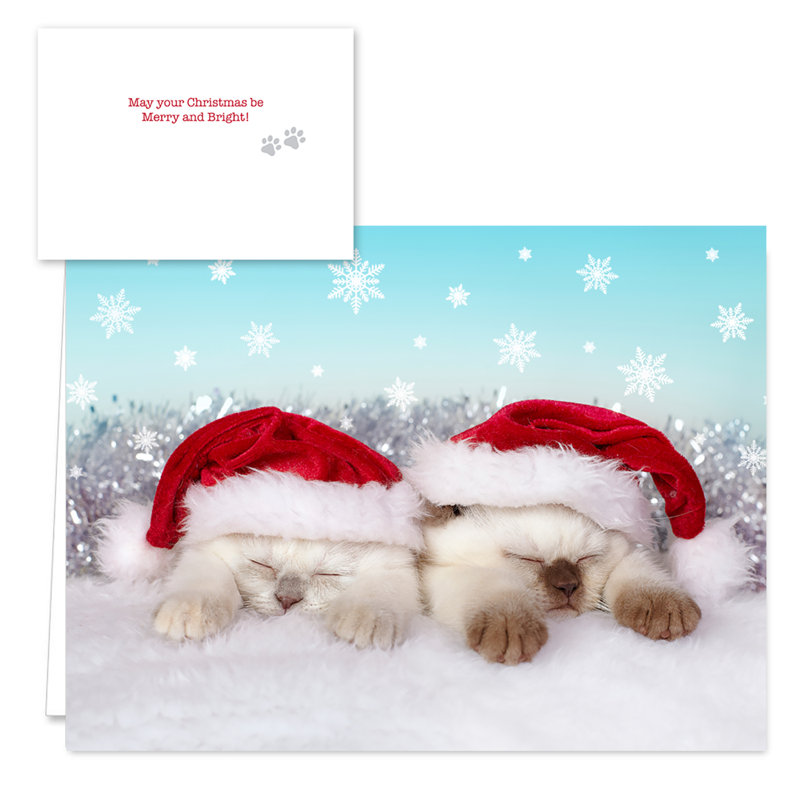 Cats Holiday Card