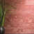 Autumn Sandstone