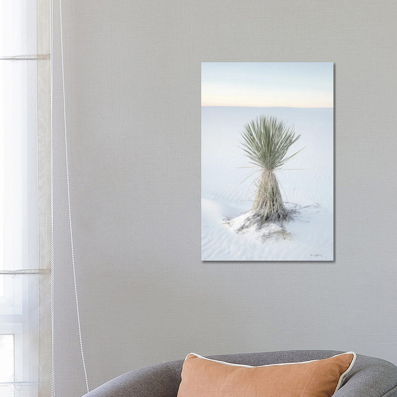 Yucca In White Sands National Monument 1 Piece Wrapped Canvas Wall Art, 66.04 cm H x 45.72 cm W x 3.175 cm D