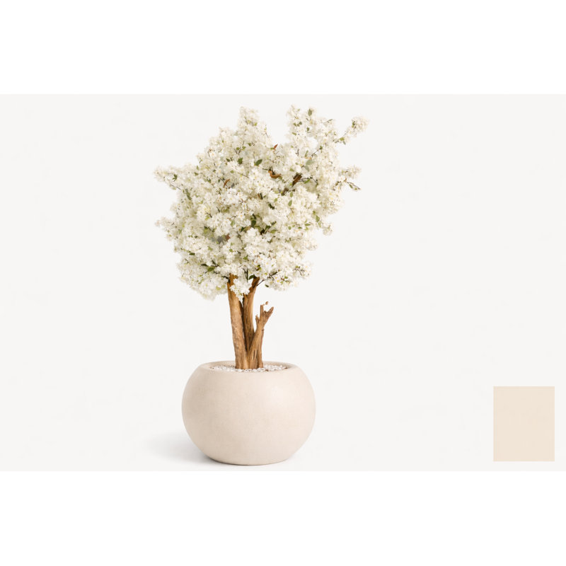 White Cherry Blossom Tree In 30" Matte Beige Globe Planter