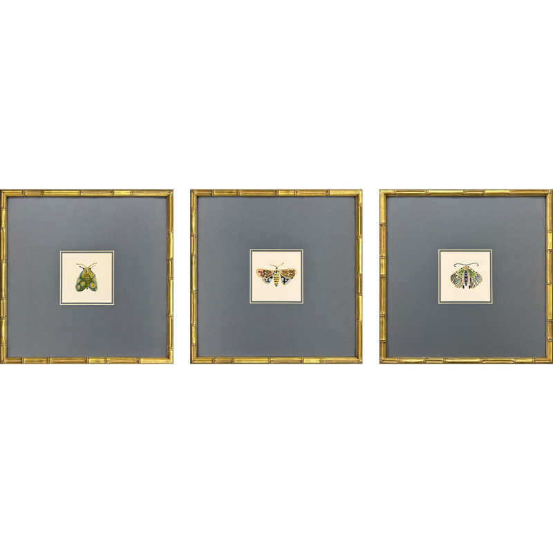 Pastel Moths II Framed Art