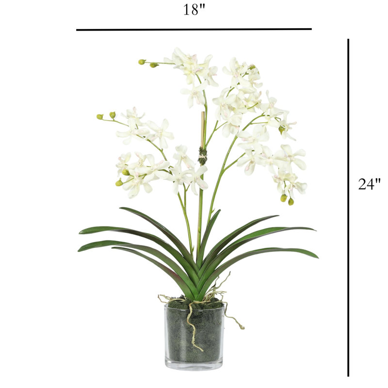 Orchid Arrangement In Glass Vase, White