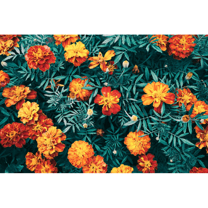 Magnifique fond floral. Texture de fleurs de jardin par Alexeus, H 12 po x l 18 po x P 1,25 po