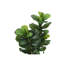 Plante artificielle