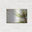 «Pine Needles» par Jessica Rogers-1629760767