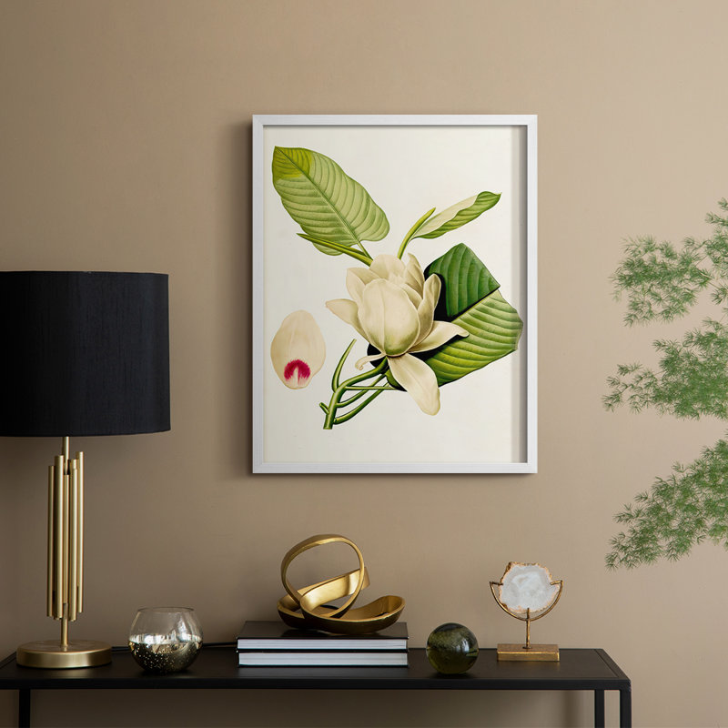 «Magnolia Flowers II», reproduction encadrée - bois massif, H 11 po x l 9 po, Blanc