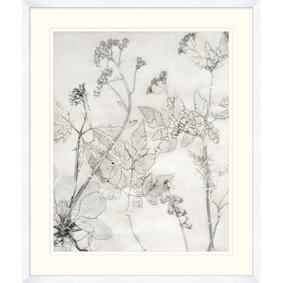 Painted Pressed Floral 6 Print