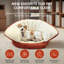 Pet Bed