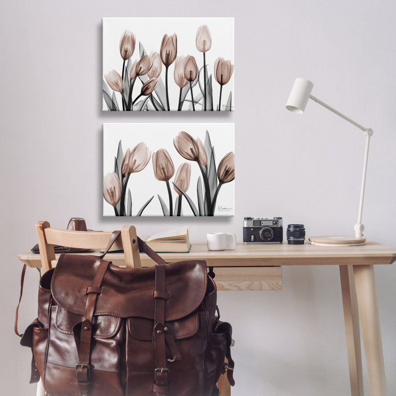 Ensemble de 2 tulipes translucides en moka translucides, design par Albert Koetsier, H 16 po x l 24 po