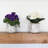 Amatury 8'' Faux Foliage Plant in Ceramic Vase