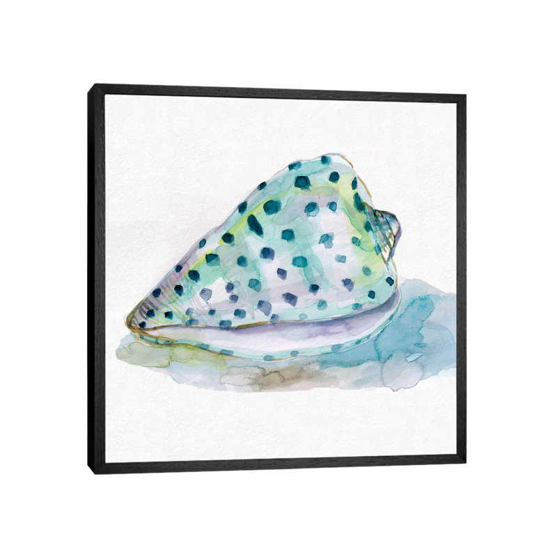 Malecon Shell IV by Carol Robinson - Print on Canvas, 66.04 cm H x 66.04 cm W, Black Framed
