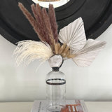 Pampas Handmade Decorative Bottles