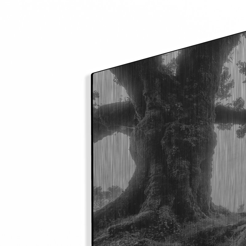 «Black & White Fanal» par Martin Podt, H 24 po x l 36 po