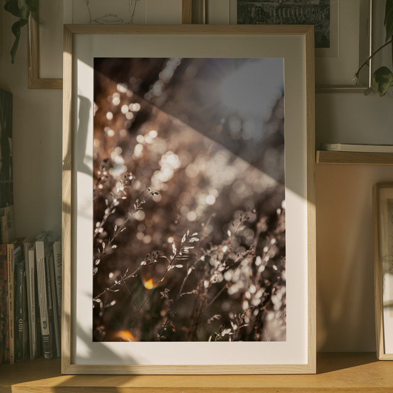 Wrapped Canvas Print, 76.2cm H x 50.8 cm W