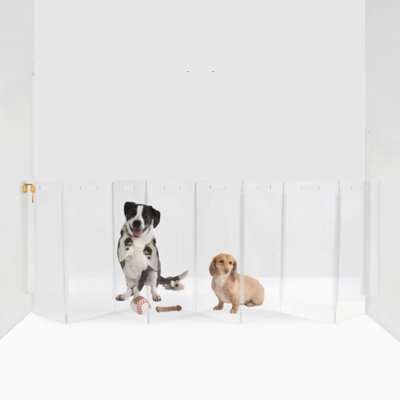 Clear Zig Zag Pet Gate Wall Mounted Pet Gate with Gold Latch