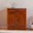 Modern simple storage shoe cabinet