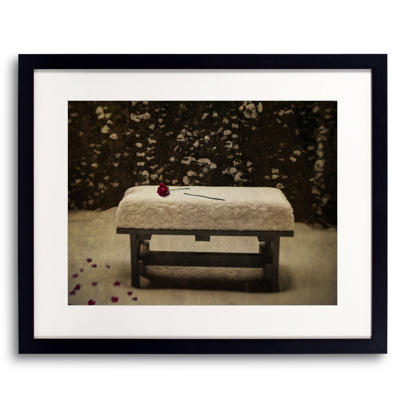 Roses In Snow Print by Robert Dodge, Black Framed Paper, 20" H x 16" W