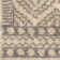 Aleman Southwestern Indoor Rug