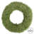 Noonkester Faux Pine 10'' Wreath