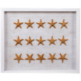 Sealife Framed Graphic Art