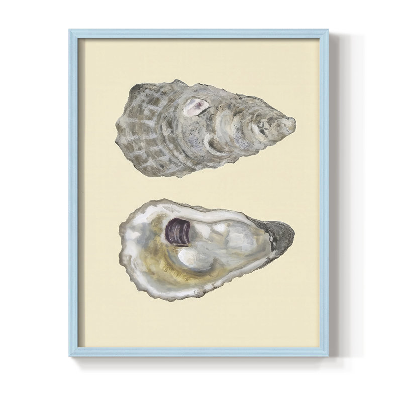 Reproduction encadrée de coquilles bivalves IV - bois massif, Bleu, H 15 po x l 12 po
