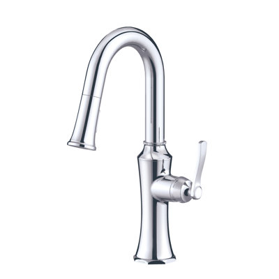 Draper Pull Down Bar Faucet