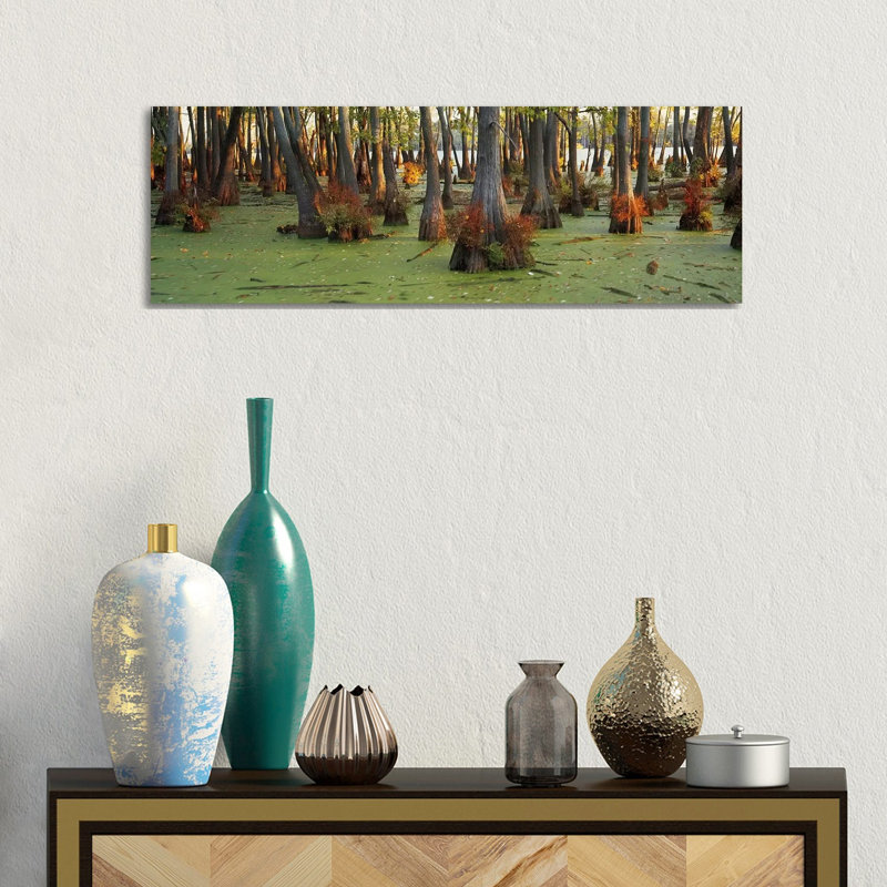 Bald Cypress Trees (Taxodium Disitchum) In A Forest, Illinois, USA - Wrapped Canvas Panoramic Print