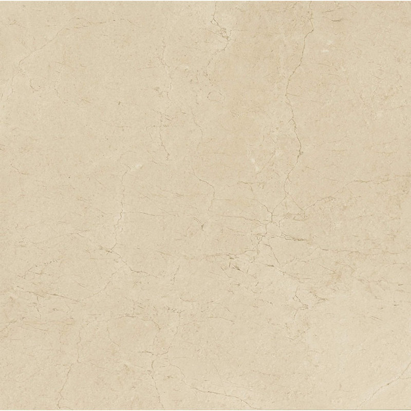 Marfil 5.8 in. x 5.8 in. Glossy Porcelain Tile, Oyster