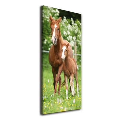 Mare And Foal - Wrapped Canvas Print