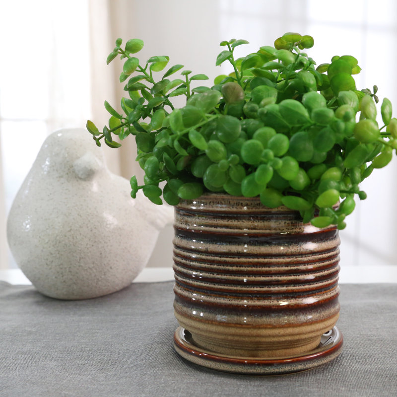 Balmer Ceramic Saucer Planter with Ribbed Texture, 1, White