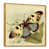 Gold Floater Framed Canvas