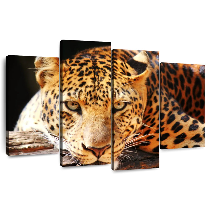 Leopard Gaze, 22" H x 36" W