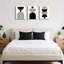 3 Piece Wrapped Canvas Wall Art