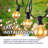 Agnon Indoor / Outdoor 50 - Bulb 50 in. Plug-in LED Standard String Light