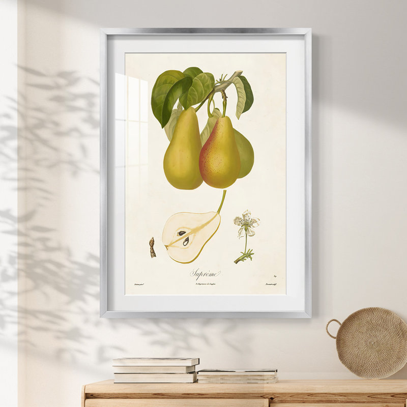 Aneres -Gallery Wrapped Canvas