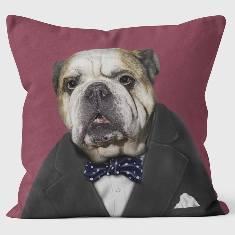 Leader - Pets Rock Cushion