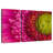 Magnified Gerbera Daisy-732022871