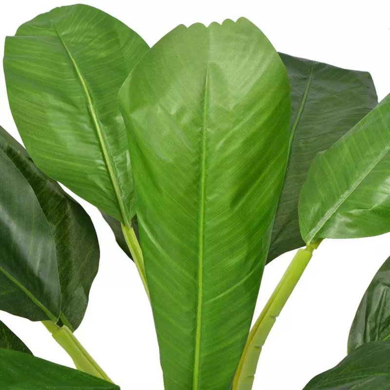 Banana Leaf Tree in Pot, 150cm Height